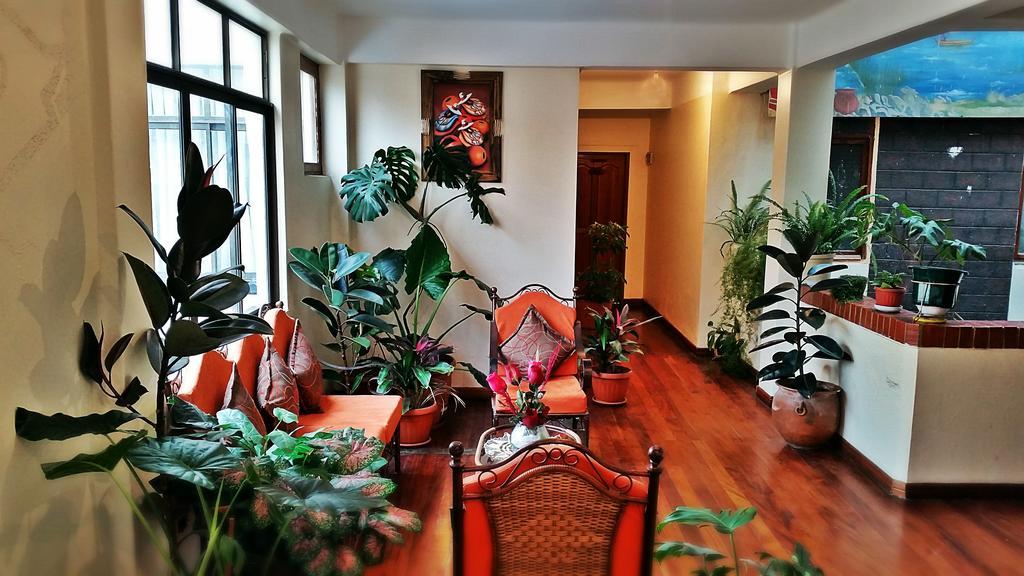 Avenida Hotel 2*